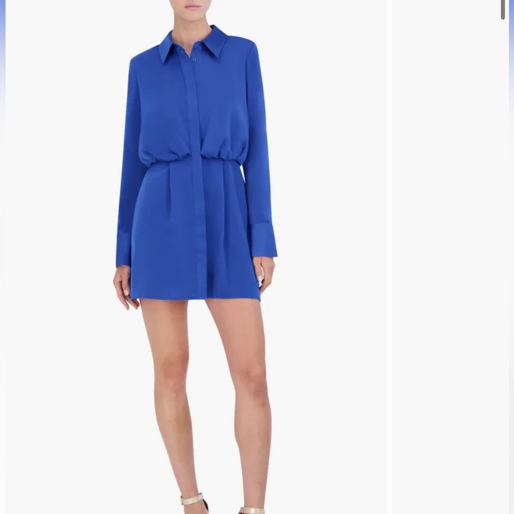 BCBG NEW YORK BLUE LONG SLEEVE BUTTON DOWN CHIFFON SHIRT MINI DRESS SIZE SMALL